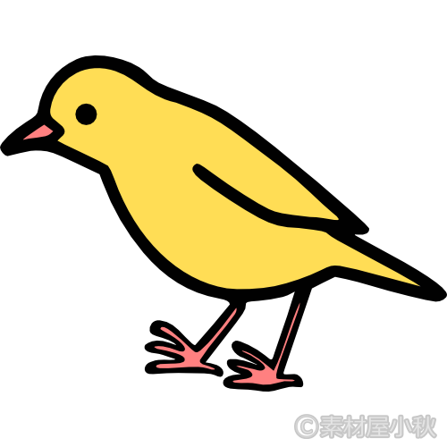 小鳥のイラスト ソザイヤコアキ
